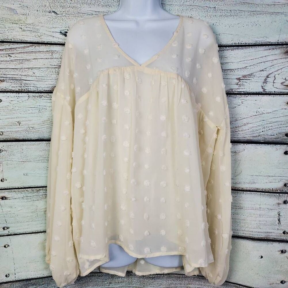 Entro Women’s Sheer Swiss Dot Blouse Size L Cream Long Sleeve Flowing